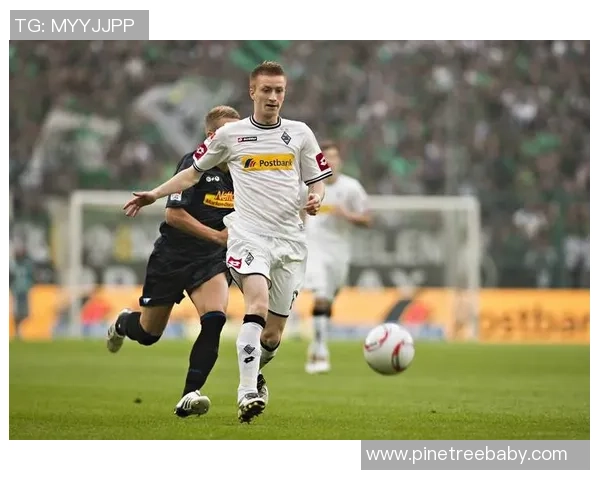 特尔施特根：从青涩门将到世界顶级守护者的华丽转身