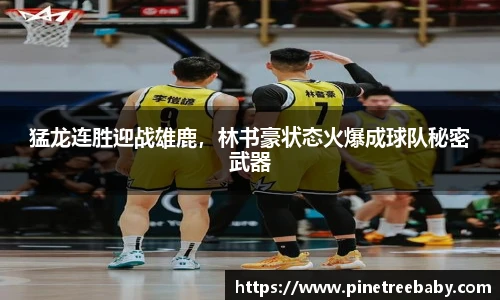 猛龙连胜迎战雄鹿，林书豪状态火爆成球队秘密武器