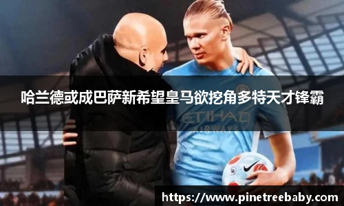 BG大游唯一官方网站
