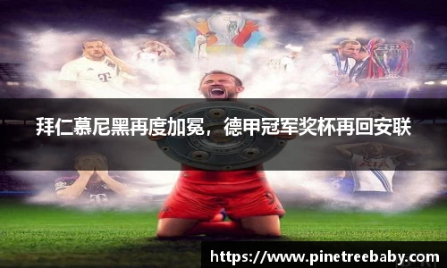 拜仁慕尼黑再度加冕，德甲冠军奖杯再回安联