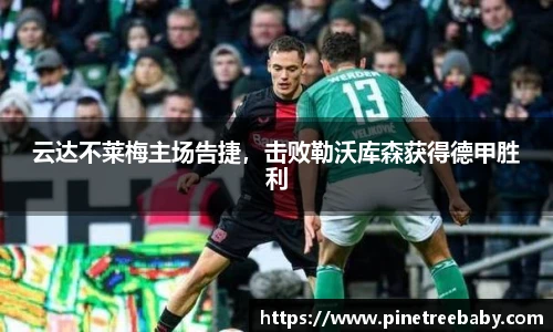 BG大游