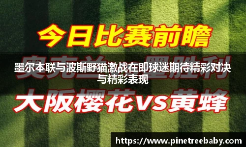 BG大游集团
