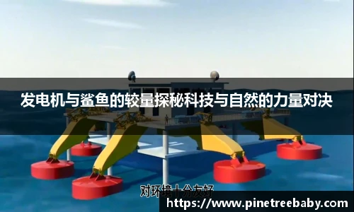 BG大游集团