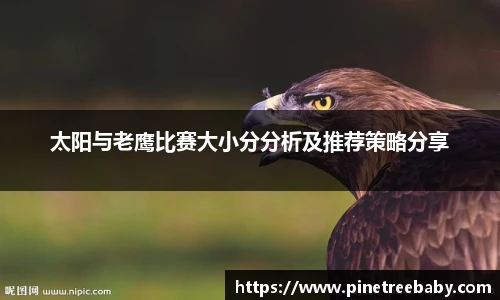 太阳与老鹰比赛大小分分析及推荐策略分享